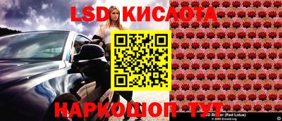 a pvp Сланцы