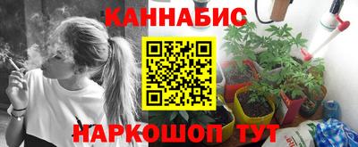 винт Славгород